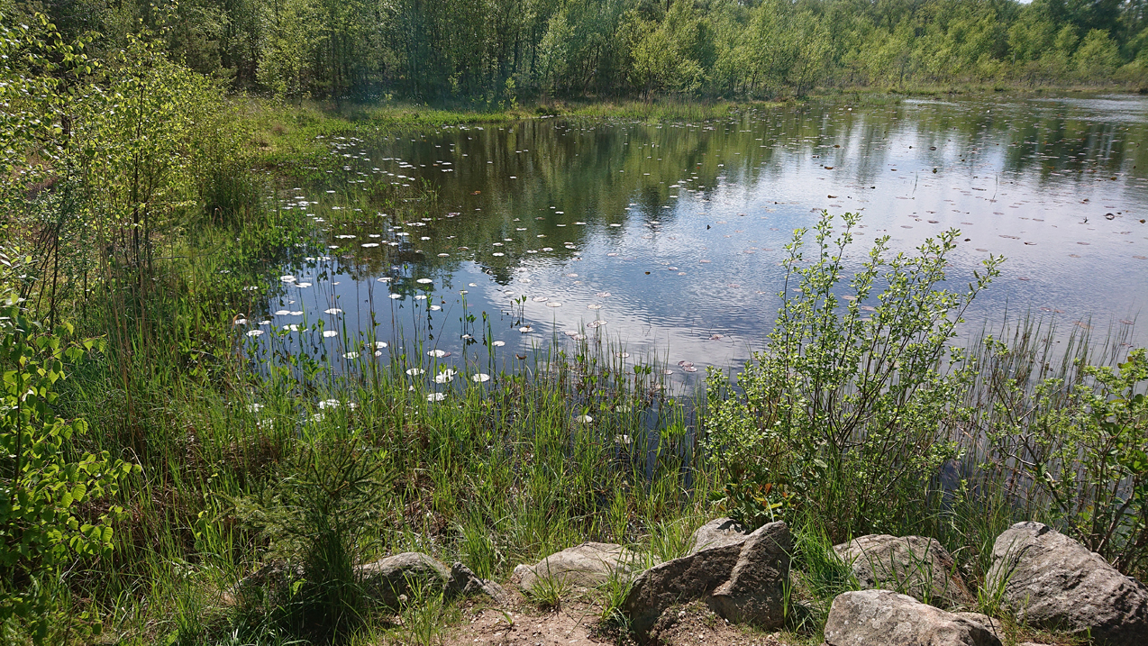 Juilanehøj Jægerspris Slot